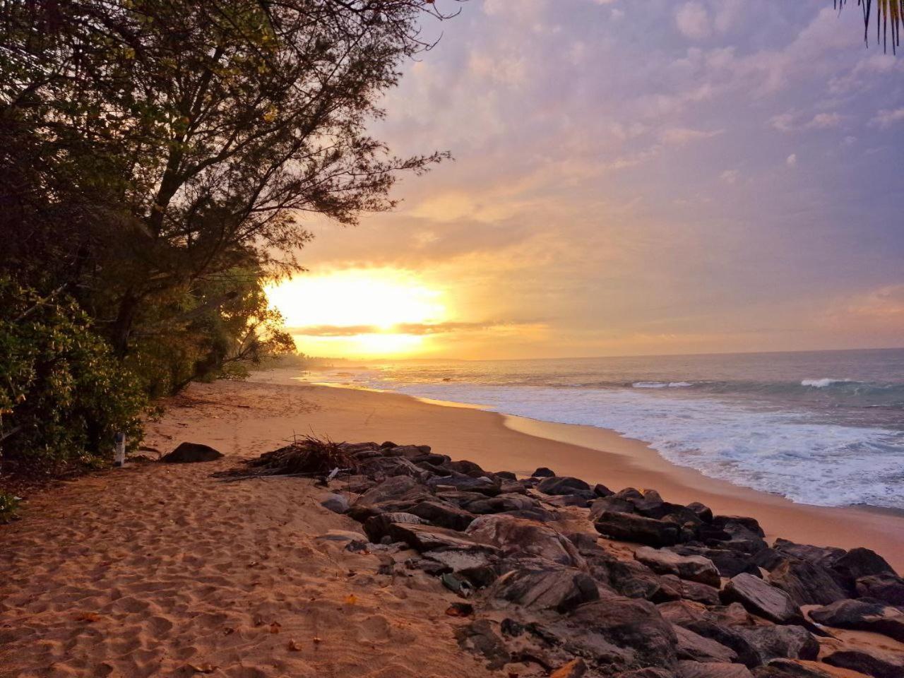 Panorama Beach Hotel Tangalle Ngoại thất bức ảnh